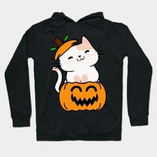 Funny Persian cat is in a pumpkin Hoodie